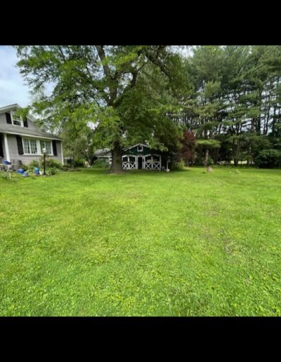 Eden NY Estate Auction Item 21