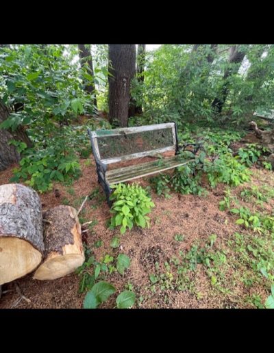 Eden NY Estate Auction Item 23