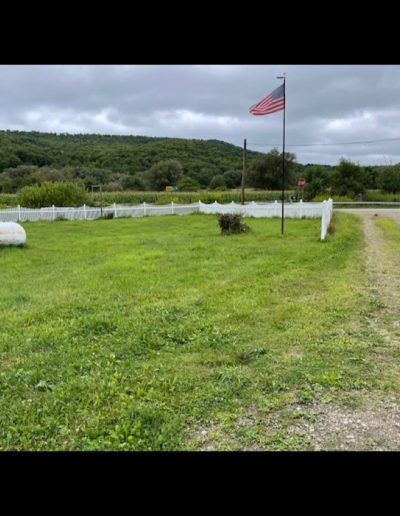 September 20 2025 Auction Item Dan Carter Auctions 101
