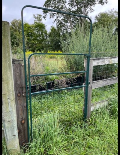 September 20 2025 Auction Item Dan Carter Auctions 32